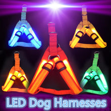 Load image into Gallery viewer, Safety LED flashing light dog harness