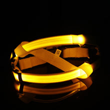 Load image into Gallery viewer, Safety LED flashing light dog harness
