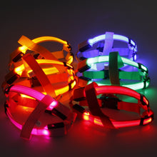 Load image into Gallery viewer, Safety LED flashing light dog harness