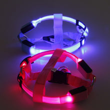 Load image into Gallery viewer, Safety LED flashing light dog harness