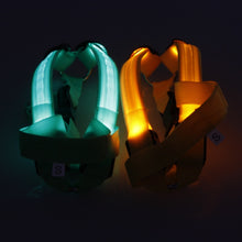 Load image into Gallery viewer, Safety LED flashing light dog harness