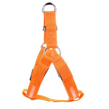 Load image into Gallery viewer, Safety LED flashing light dog harness