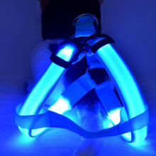 Load image into Gallery viewer, Safety LED flashing light dog harness