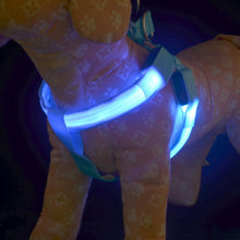Load image into Gallery viewer, Safety LED flashing light dog harness