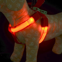 Load image into Gallery viewer, Safety LED flashing light dog harness